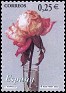 Spain - 2002 - Flora - 0,25 â‚¬ - Multicolor - España, Flor, Paisaje - Edifil 3874 - 0
